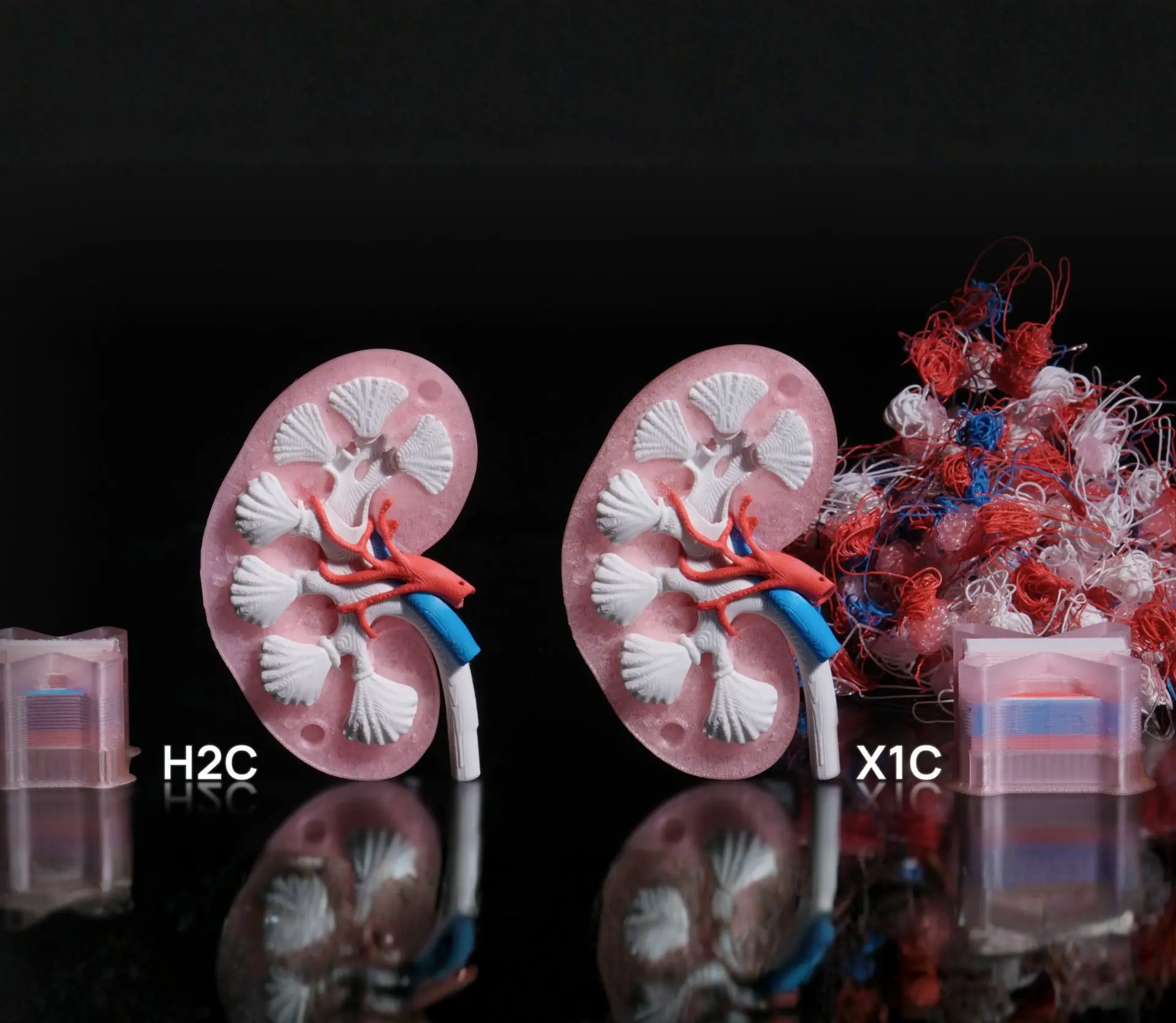 Bambu Lab H2C Multi Material Printing with Minimal Purge Waste