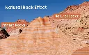 eryone rock pla (3).webp
