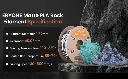 eryone rock pla (5).webp